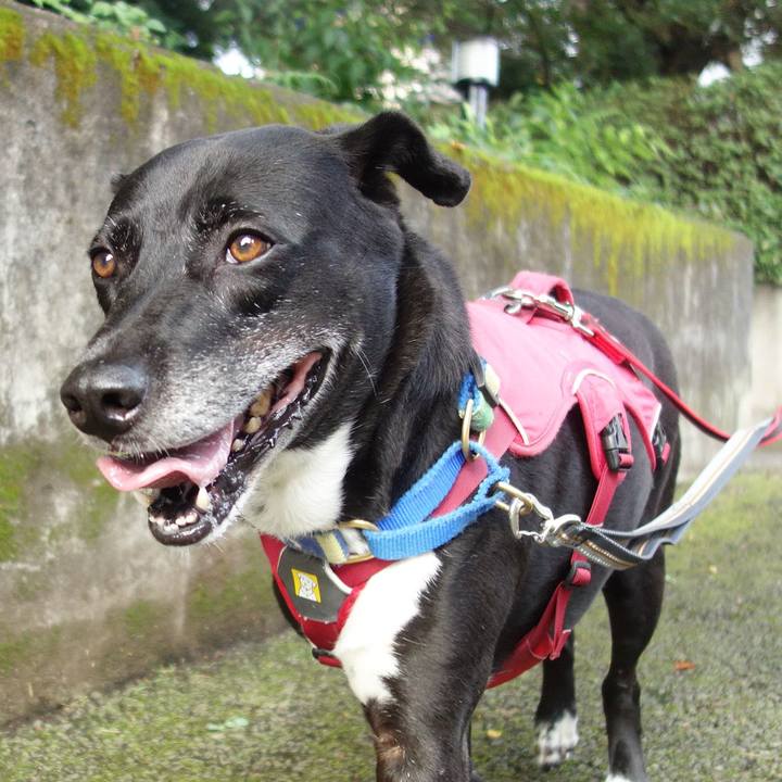 3ad65bc0 ea0a 4410 873d 575d16d89857 1689984073448