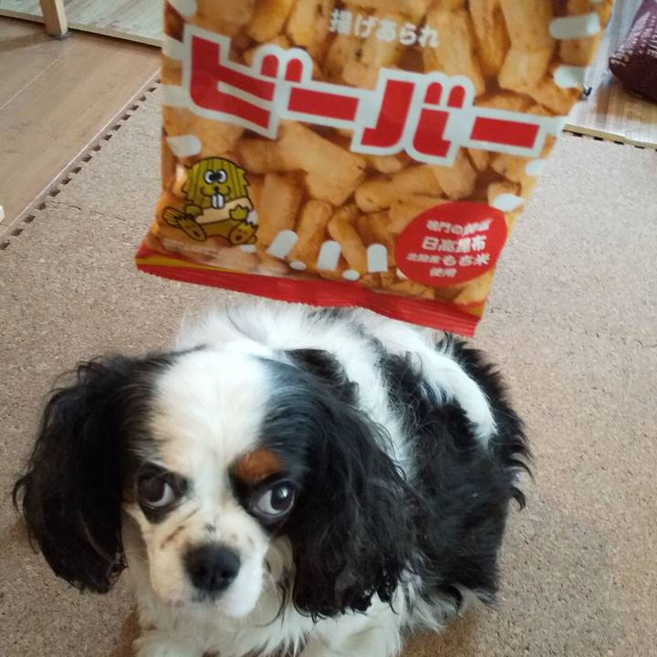 3ad65f04 5ee9 4b90 807e 477200571a4c 1565593724821