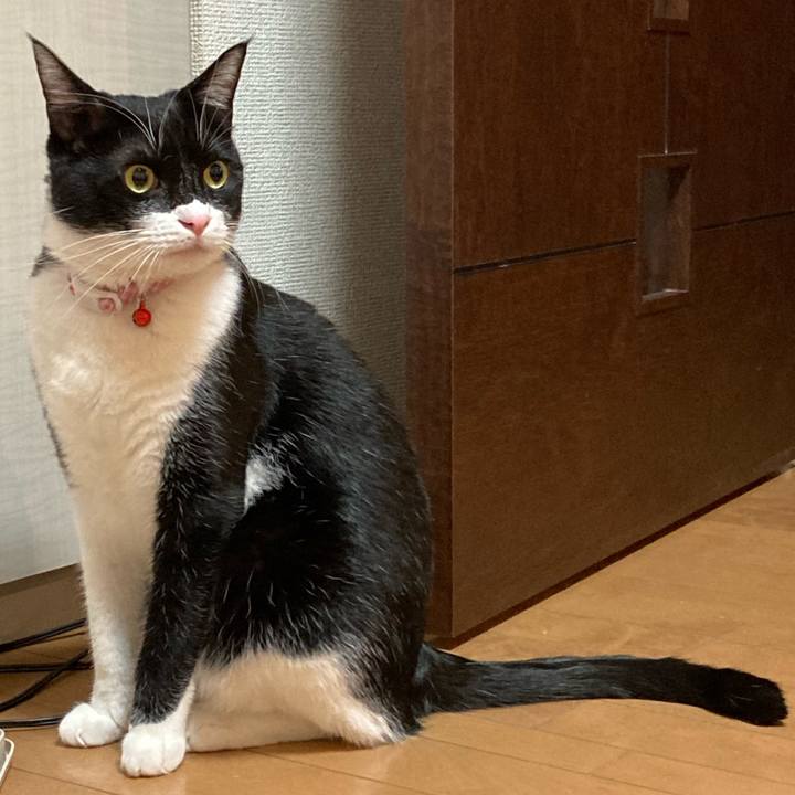 3ad65f1b 8838 46c9 b29c 9b11dfff7d51 1611757543616