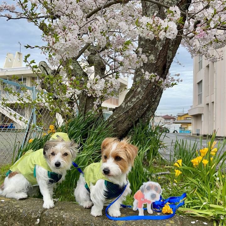 3ad667c9 f9fd 4d26 bfa2 5c74e77976b1 1775306634445