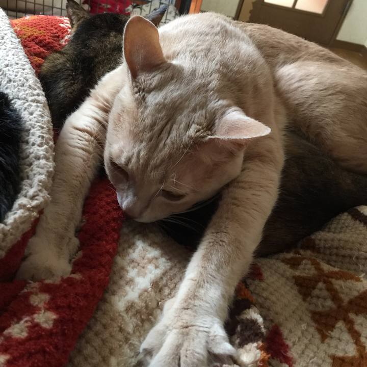 3ad68ad2 e150 46cd 9da4 0781f81accc9 1509504573872