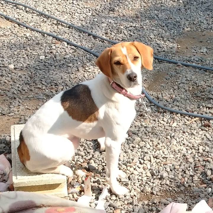 3ad6a4fa d0de 42c5 9a99 850e05769343 1583888637615