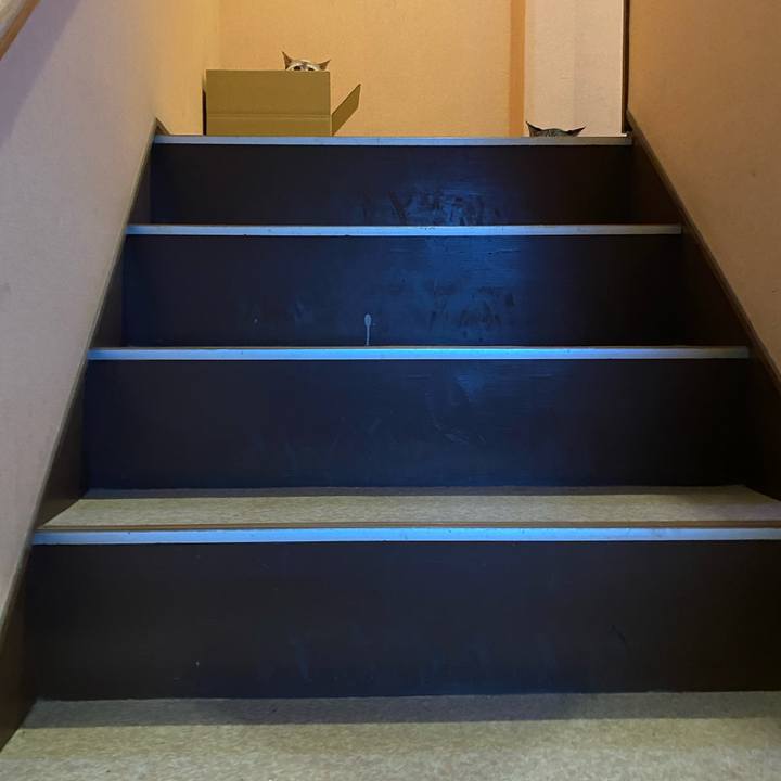 3ad70953 2eb5 4835 ba25 eb0fca71c0ad 1682675119176