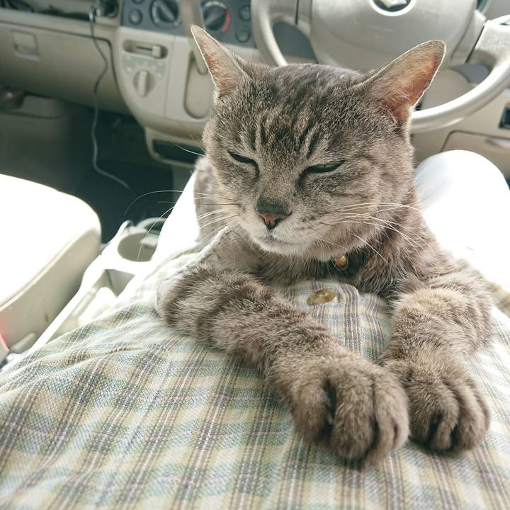 3ad70d88 09cf 4b4d bda4 70f6320a5ae9 1588568652776