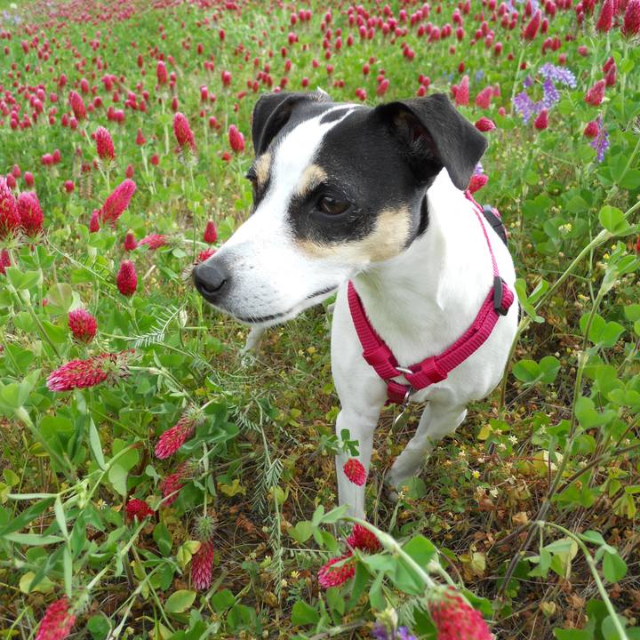 3ad72263 7d4c 4c2d 87fb 5e44932b3288 1650665545453