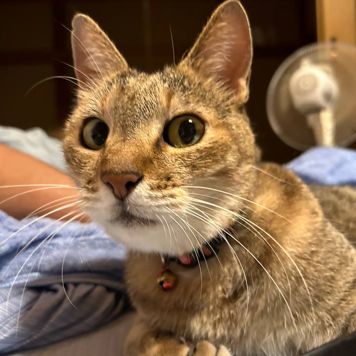 3ad729fe 08a0 46d6 b680 9c8336e43a4b 1695034030614