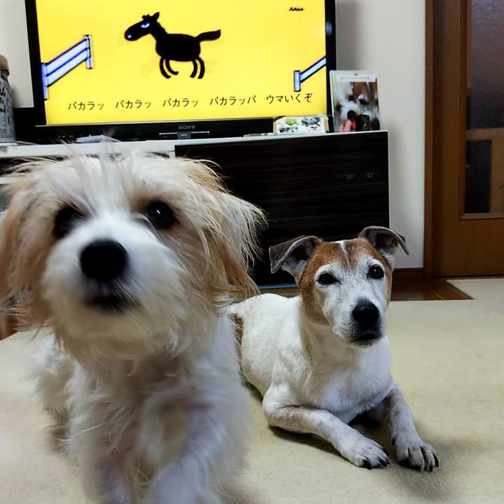 3ad74930 114d 48ae 9992 b4efc7bd1c0a 1547763099595