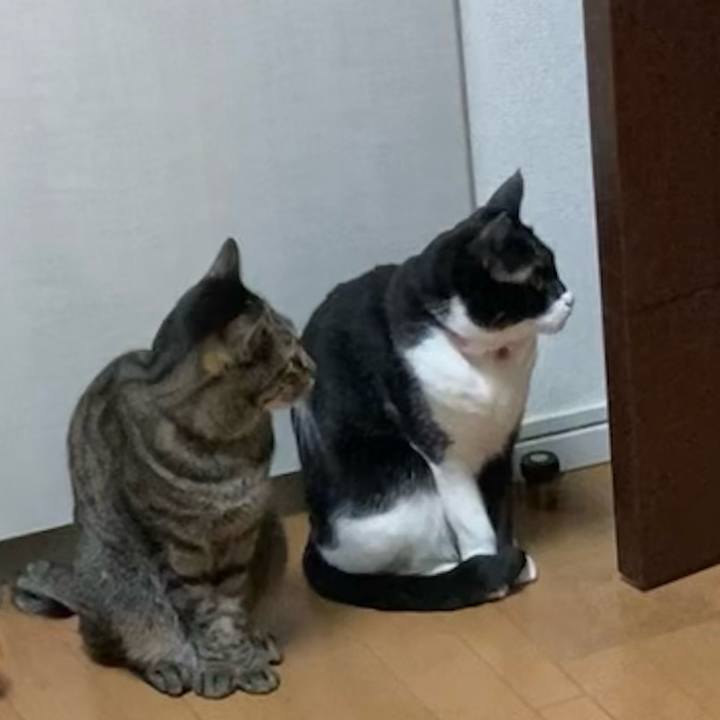 3ad75dc6 0d73 470f 9df8 30bca3fe6b33 1642846320628