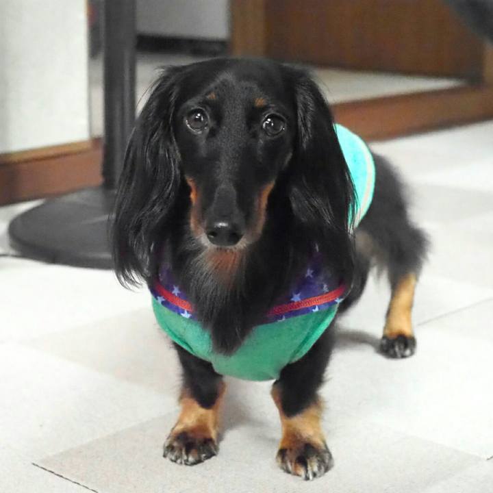 3ad76559 dc8d 4440 838f 57926e07e154 1538706293258