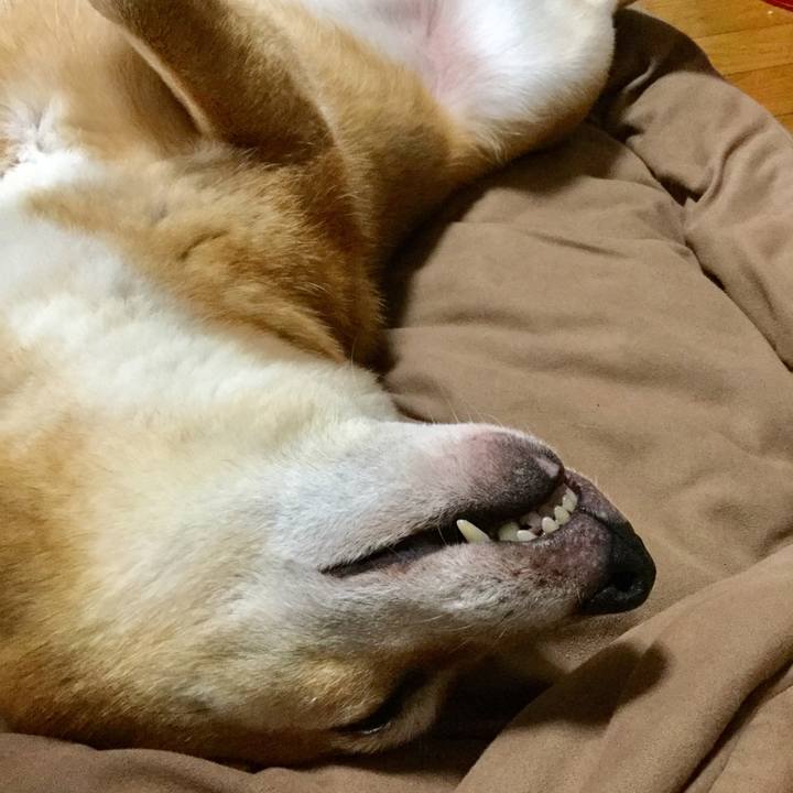 3ad7b670 77eb 40dc aafe 2e5ea9d681d7 1571891189002