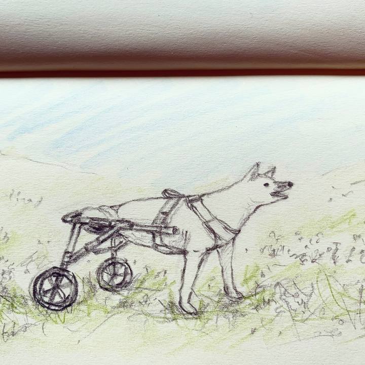 3ad7e5bb b00a 4f75 8150 f0b8447eb1d5 1678582978133