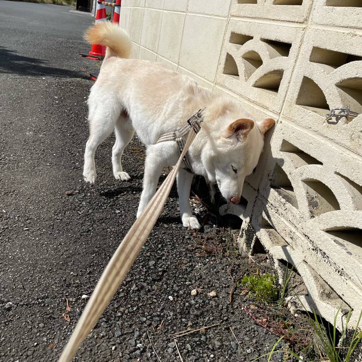 3ad7ec1d 13fc 4263 9e9f 6ddd25e57f9f 1636546955661