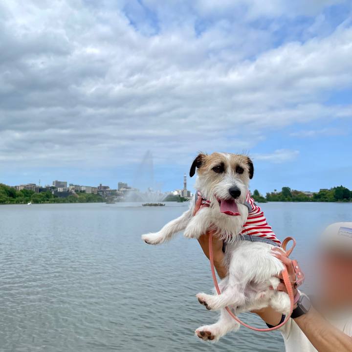 3ad7fb7b 96db 4915 b6ee f59d06bb40a1 1684677725588