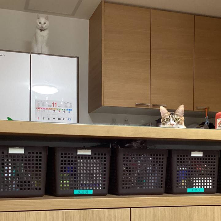 3ad81fb0 7648 42f5 97e2 919e25a05b57 1667430977475