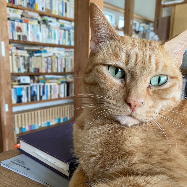 3ad8462d 0dda 43a3 bd80 6577c00cc0d2 1686444952139