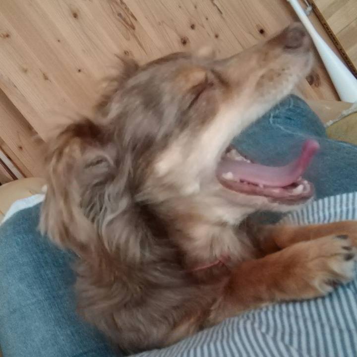 3ad847b0 a238 4e5a 92b6 b0f36ad6581d 1528530189301