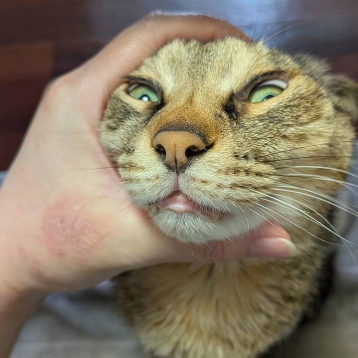 3ad87211 d307 4847 ba3f c17b4a0d94bd 1773975435631