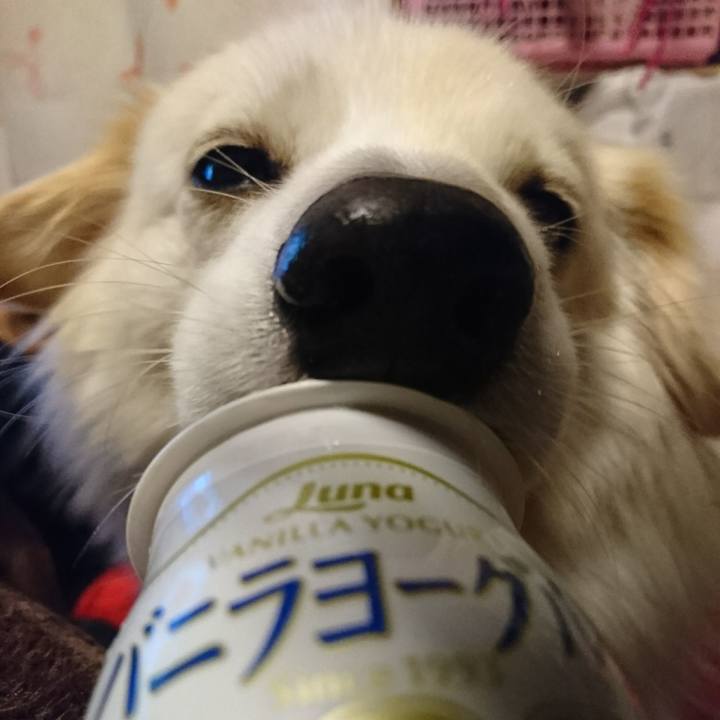 3ad87379 c88d 4e3f 80f8 b0060161de6d 1512992093747