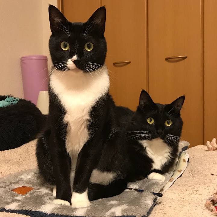 3ad87429 2188 4424 aae9 5b71d610b516 1512344294135