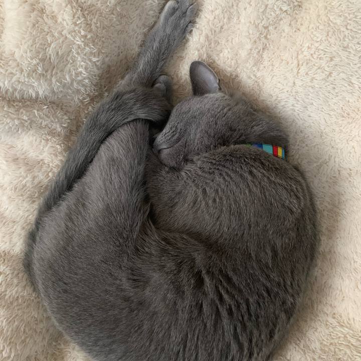 3ad8abe6 360b 44c7 b4d1 b017202c8ed4 1641197218549