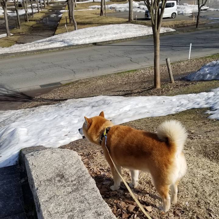 3ad8d259 b854 4543 87f2 6228e68cf397 1649575181342