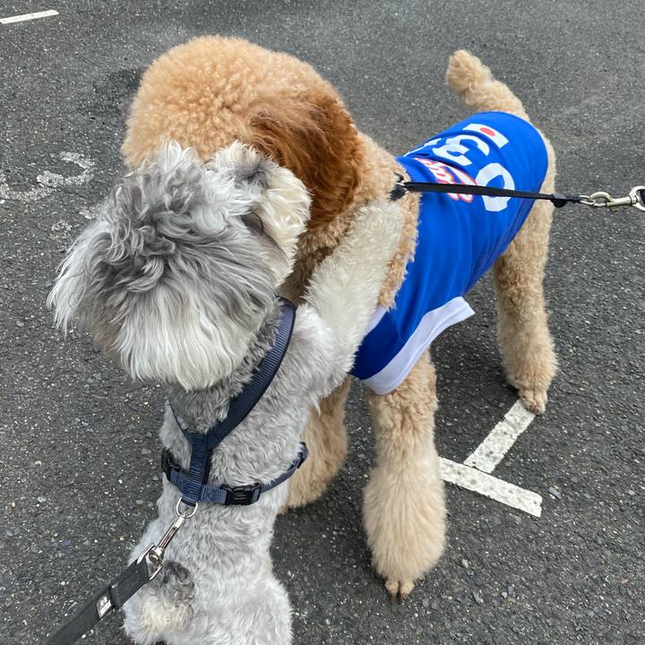 3ad91324 be78 4147 b085 1629b4db328a 1622943344352