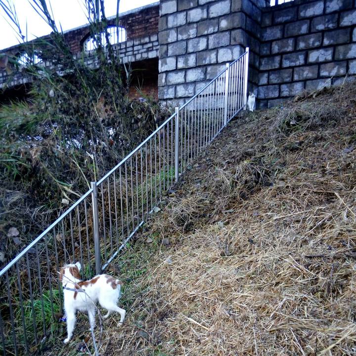 3ad918e4 84eb 4547 9237 a99b53226c02 1515456921825