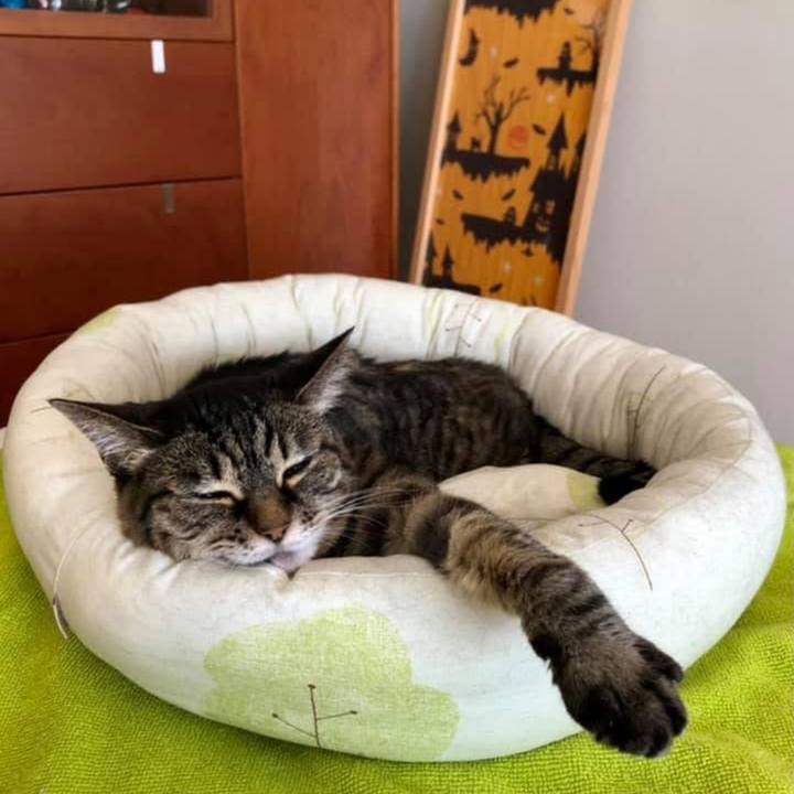 3ad9224d 28d2 4f3c 9a18 fe8a2fb71aba 1761171637314