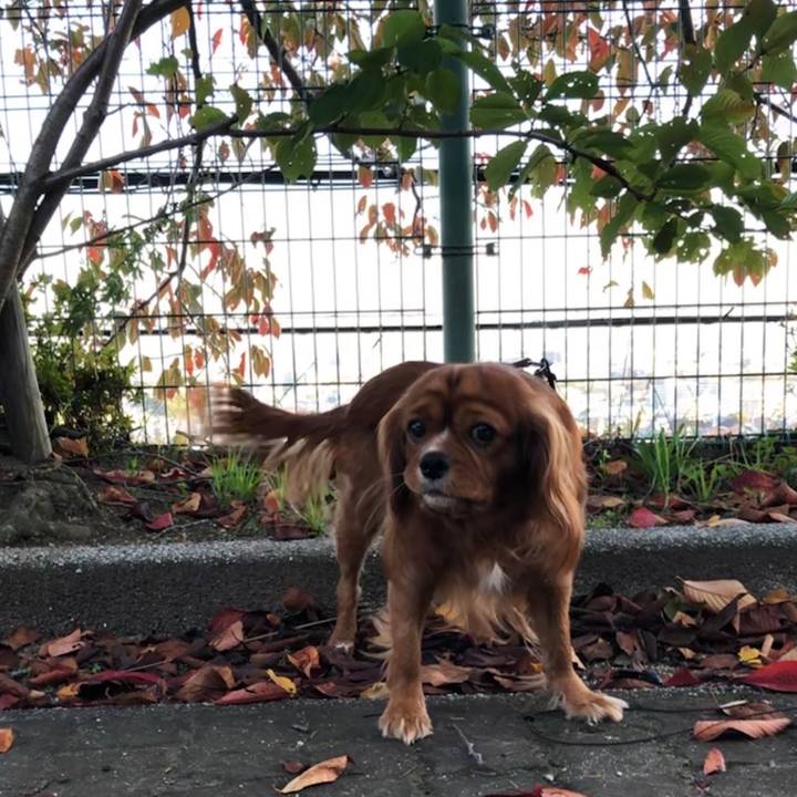 3ad94a62 12a0 4c13 9093 bea4e3886212 1572682031175