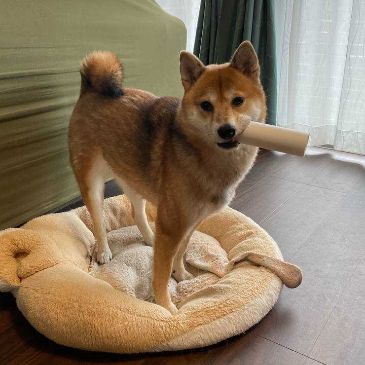 3ad96312 ef9b 486a 933e 91af1241c384 1701349455966