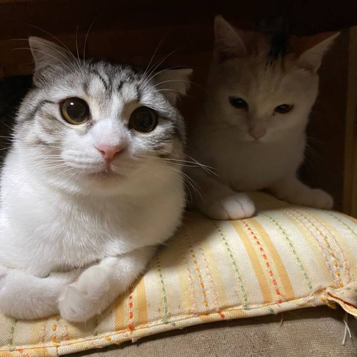 3ad9886c 14f0 4127 8720 7bdf9c49cbe6 1606486424708