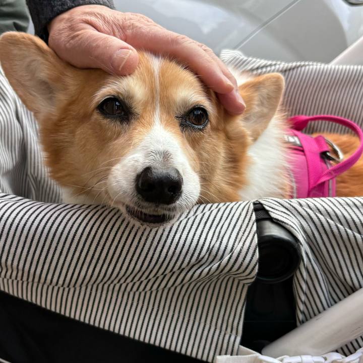 3ada16de 146b 4057 9200 5fa8abcd1385 1735881174500