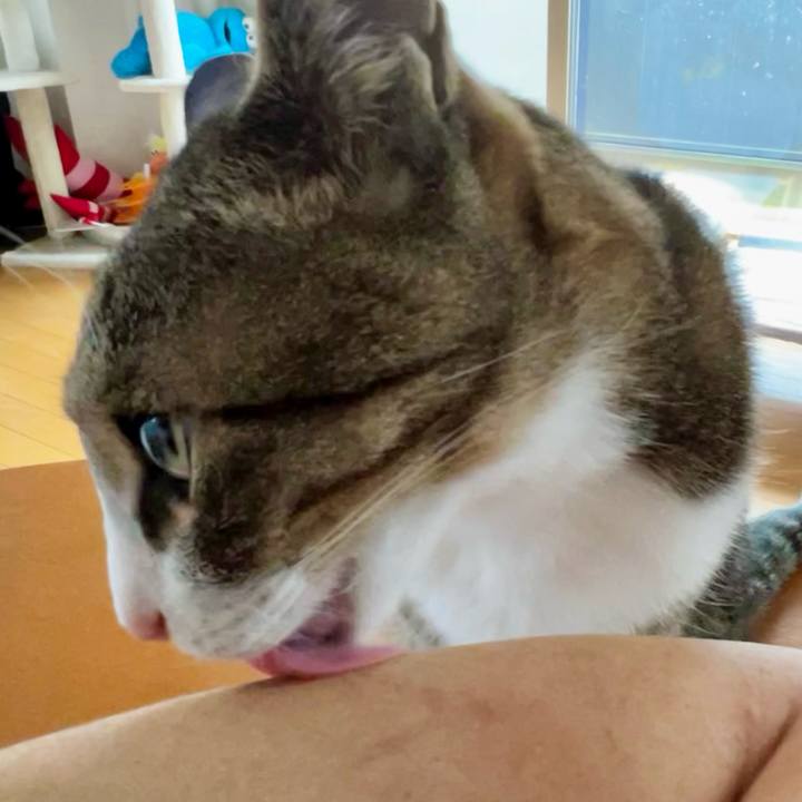 3ada201b 81e5 43ad b6b2 b75f2ede056e 1760080573327