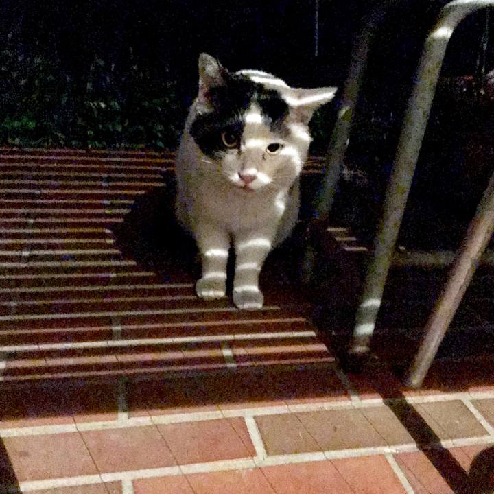 3ada2d89 26aa 43b8 a61b eacb1e455ba5 1551491725640