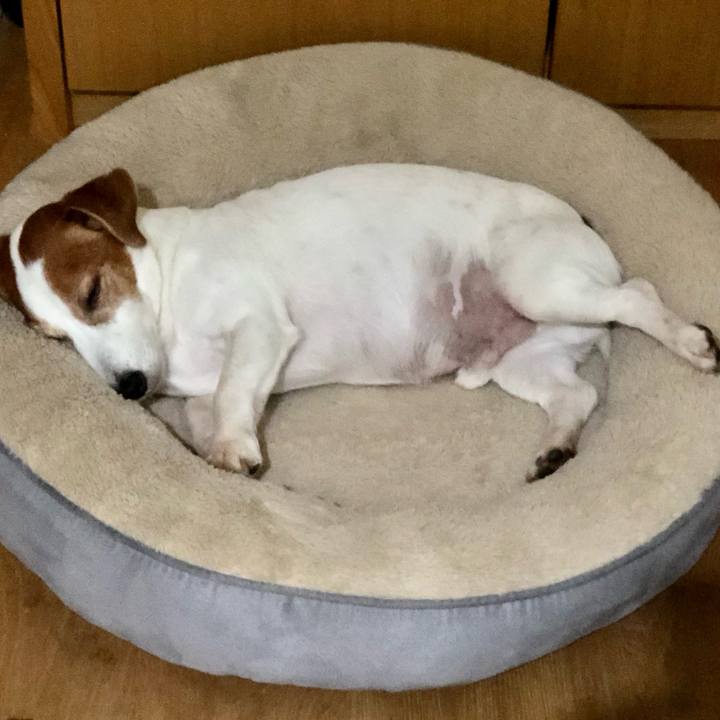 3ada4c01 6758 4210 b78a 2c08551c9d60 1749808387178