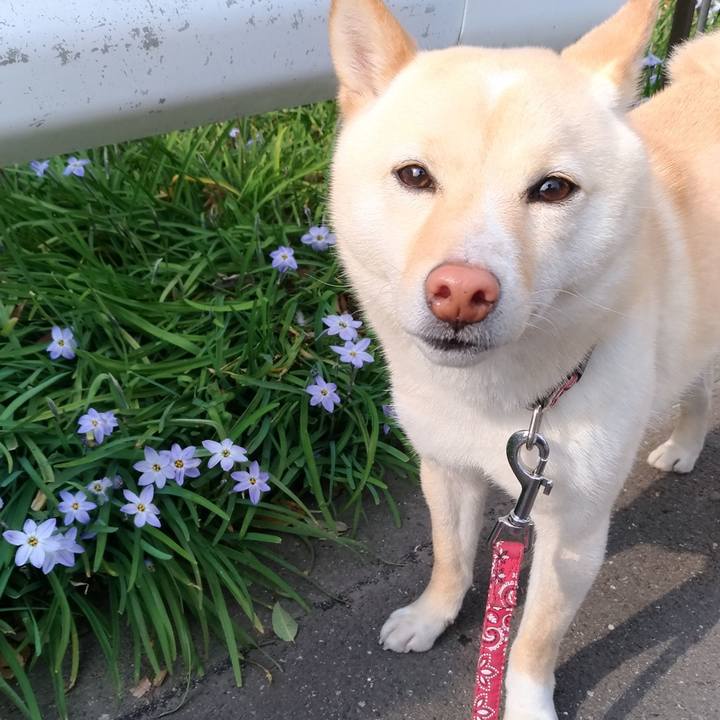 3ada7a94 704f 4d3f b779 995609cd6301 1553676352740