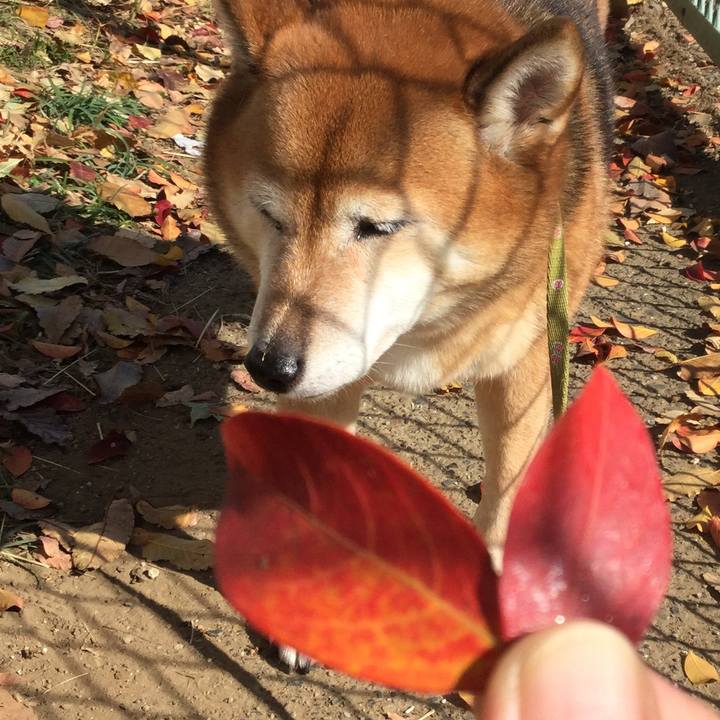 3adaa435 8b72 4190 b375 13858dadb8a1 1605338383287