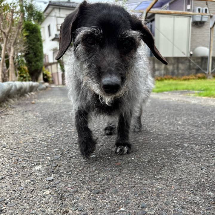 3adb0766 3d41 44e0 8df4 11cb90b7bf23 1748042364830