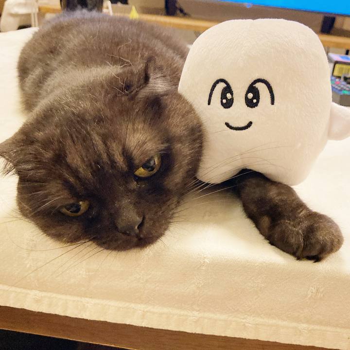 3adb38b2 a0cc 48f4 a57a 1ab5ea555452 1598870120372