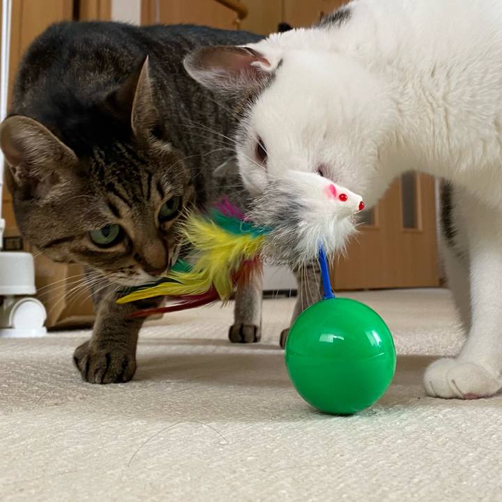 3adb7174 a9c3 427e 8d5a b77feb5c92fb 1769323794974