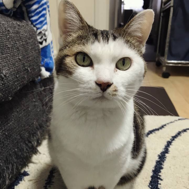 3adb8bf4 454c 4457 a0ef a497404d5d4b 1580006915153