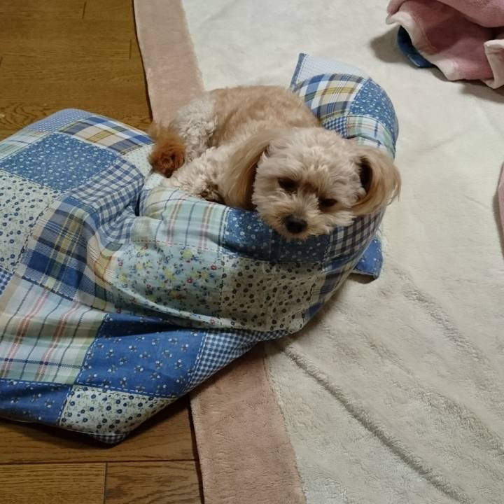 3adba0e2 18a1 49dd be0c 1a474f71c6b9 1508496077215