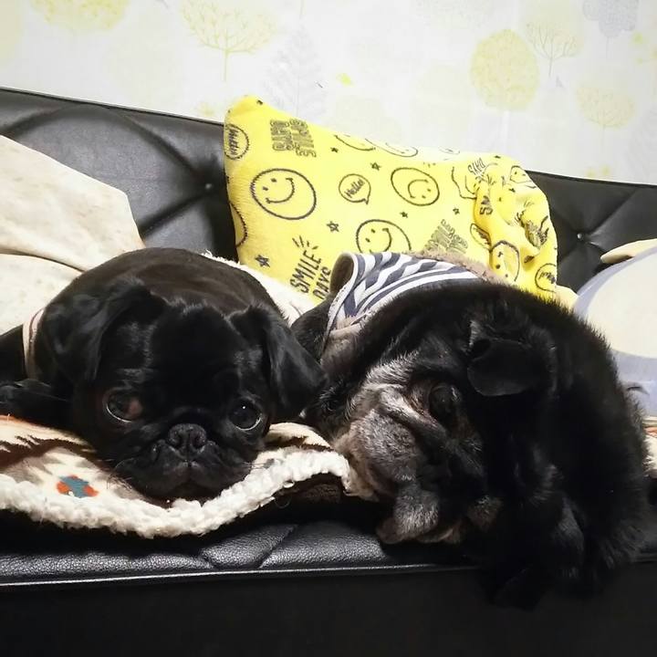 3adbaafc 1d6b 406d 8036 a3df29195c54 1519489390329