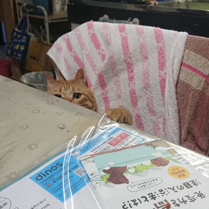 3adbc68b 47a8 45fb be7a 7d441b610a1e 1645738822653