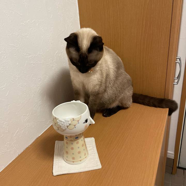 3adbeab5 b597 41e9 8c10 ca8844084f2e 1725825279374