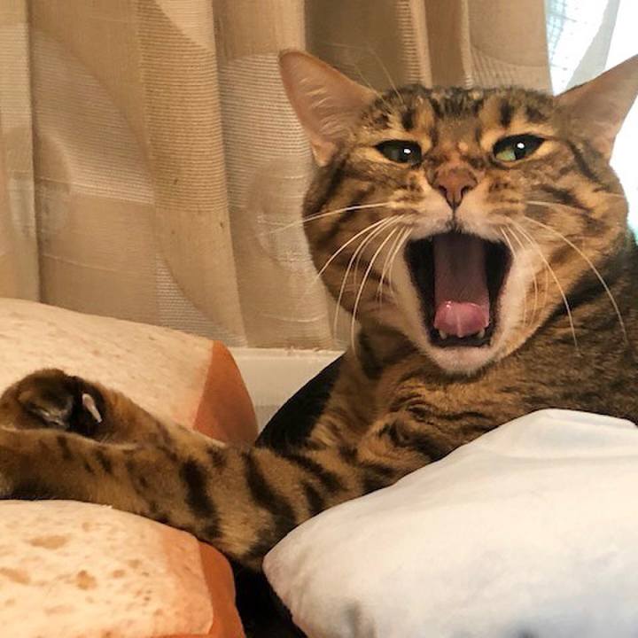 3adbf920 30ff 4f38 9696 b66a1c4264c7 1622070463536