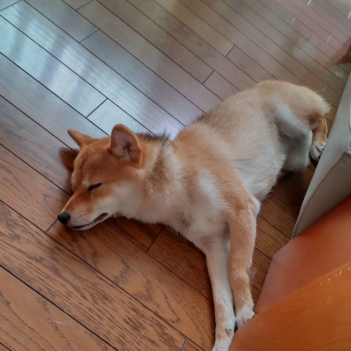 3adc2ba5 5bf2 4bd3 9cb9 ec302a0a5c53 1626224113051