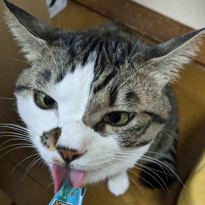 3adc36d1 97c8 4412 b0c7 c64a436bc010 1674997874472