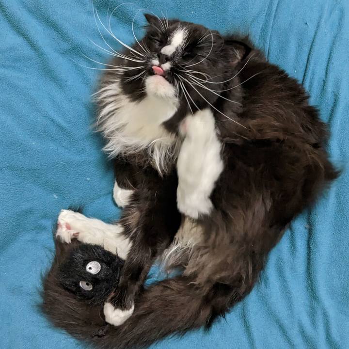 3adc535d 59a1 4621 aa8d 0c71f91a10bf 1678618215083