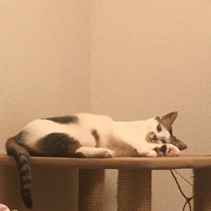 3adc5c6e b228 40a7 a8e2 730230c0d8bb 1623506494897